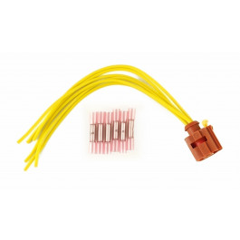 Stecker Reparatursatz AGR-Ventil z.B. Fiat Ducato 250, Peugeot Boxer III, Citroen Jumper III 2.2D