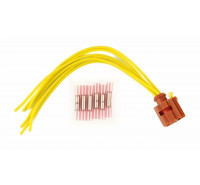 Stecker Reparatursatz AGR-Ventil z.B. Fiat Ducato 250, Peugeot Boxer III, Citroen Jumper III 2.2D